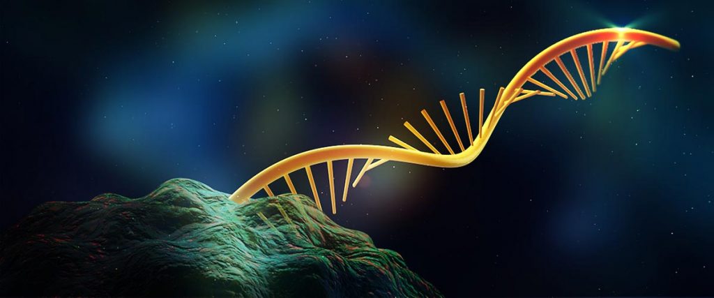 rna