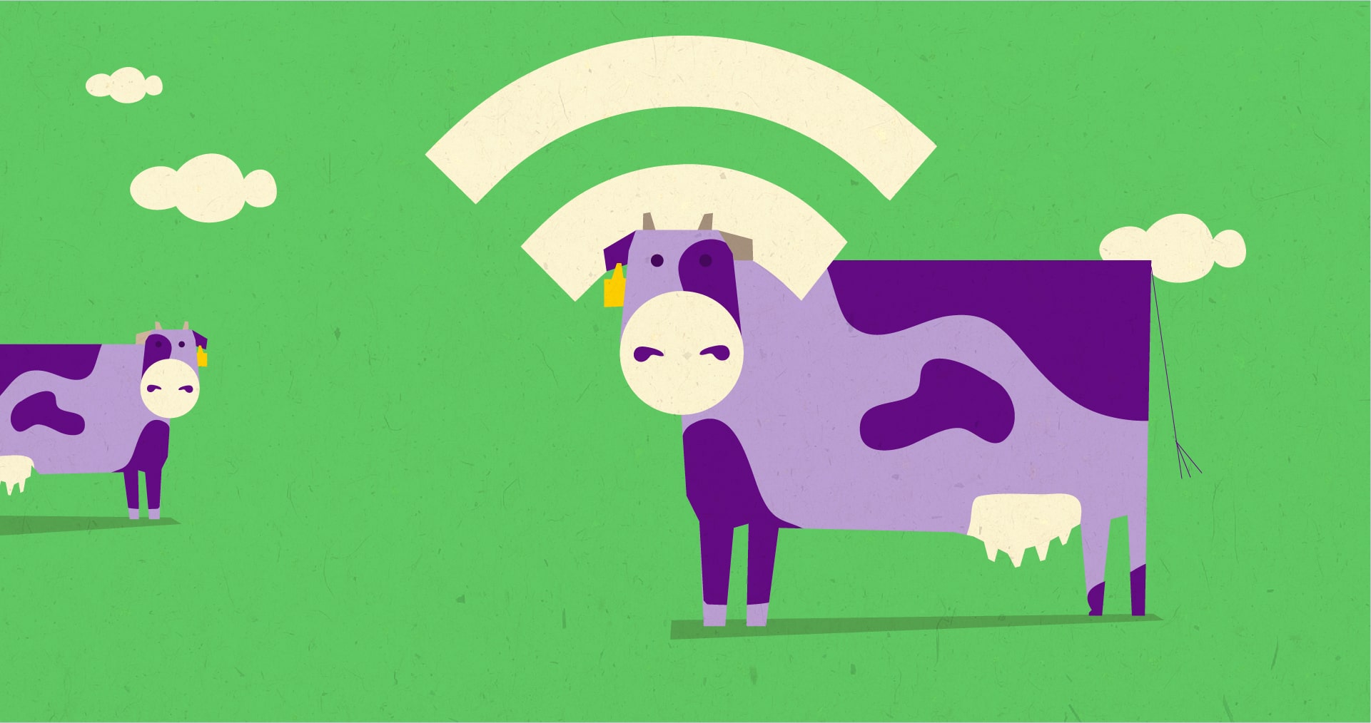 Internet of Cows – H τεχνολογία μεταμορφώνει την κτηνοτροφία