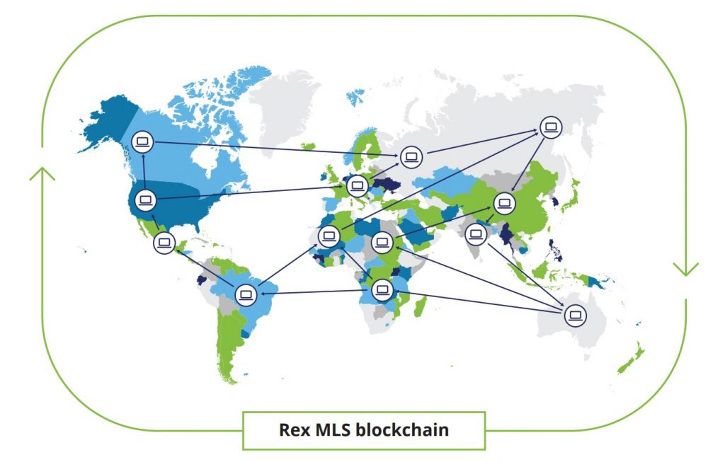 rex1-min