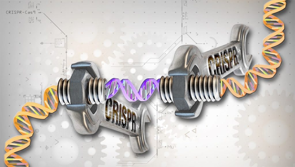 crispr-ed-min