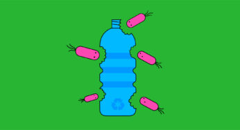 Ανακύκλωση πλαστικού: Μπορούν τα βακτήρια να κλείσουν τον κύκλο;