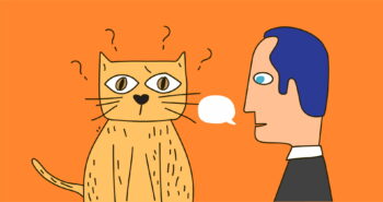 Άραγε, οι γάτες μας καταλαβαίνουν πότε τους μιλάμε;