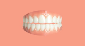 Αντίο σφράγισμα: Στο προσεχές μέλλον τα δόντια θα αναγεννιούνται