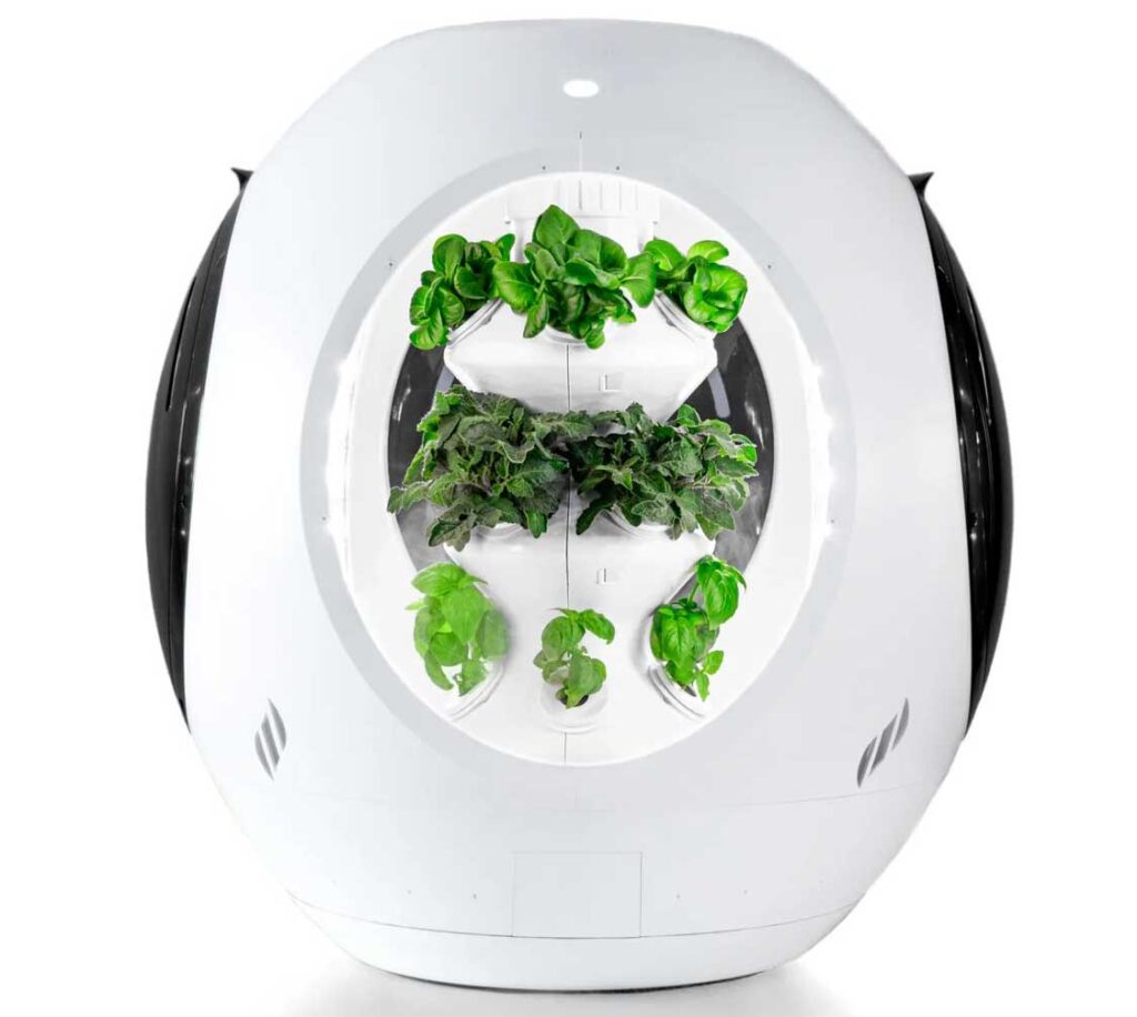 final_indoorplant2