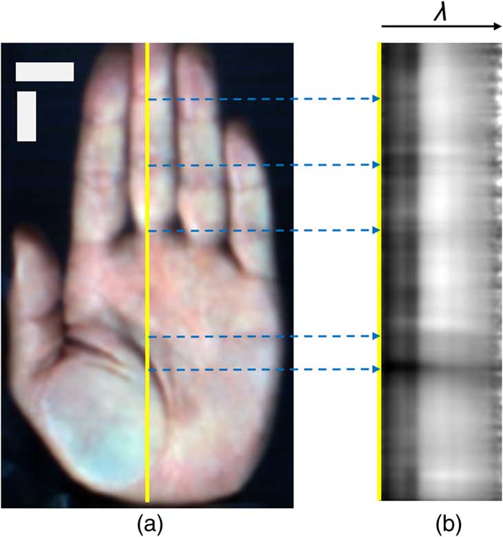 final_biometrics2