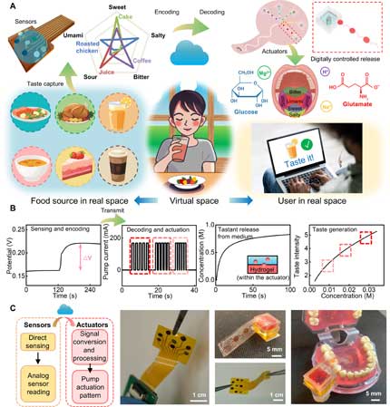 final_etaste2