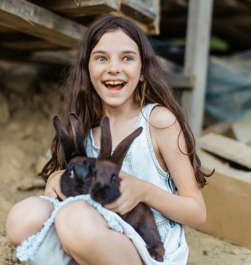 final_pets4