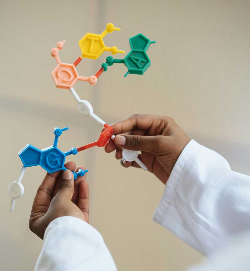 final_dna2