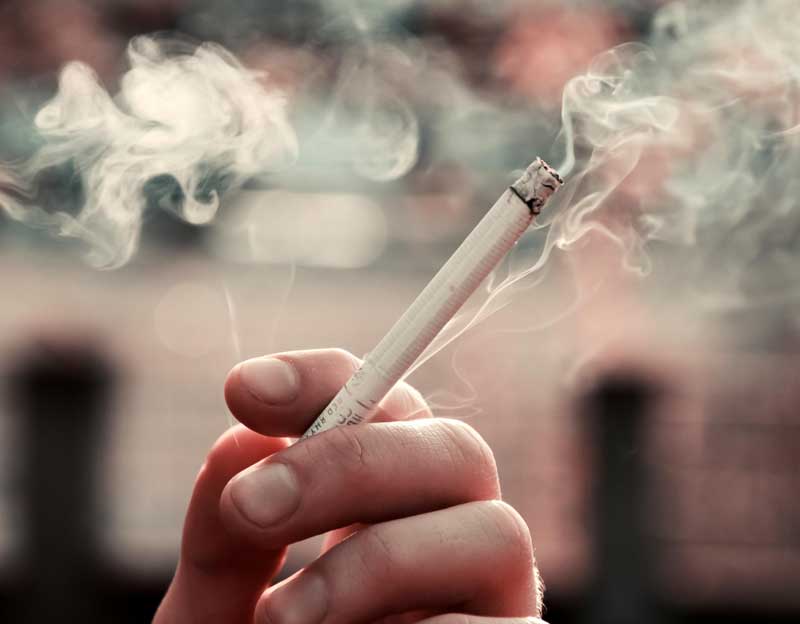 final_lungcancer2