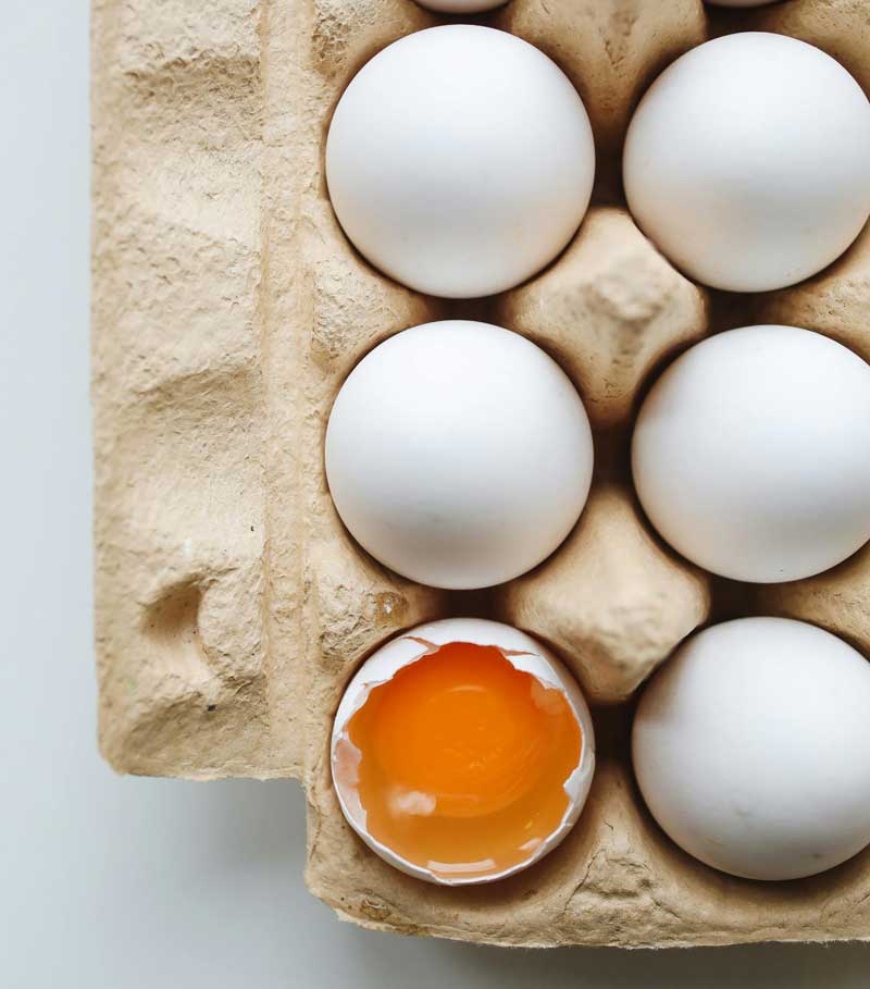 final_protein2