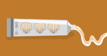 Η κόλλα που μπορεί να μας "σώσει" από τα κατάγματα