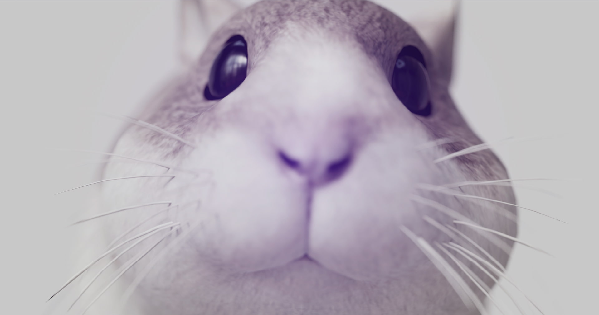 Νόσος Πάρκινσον: Θεραπεία σε ποντίκια, έρχεται η σειρά μας;