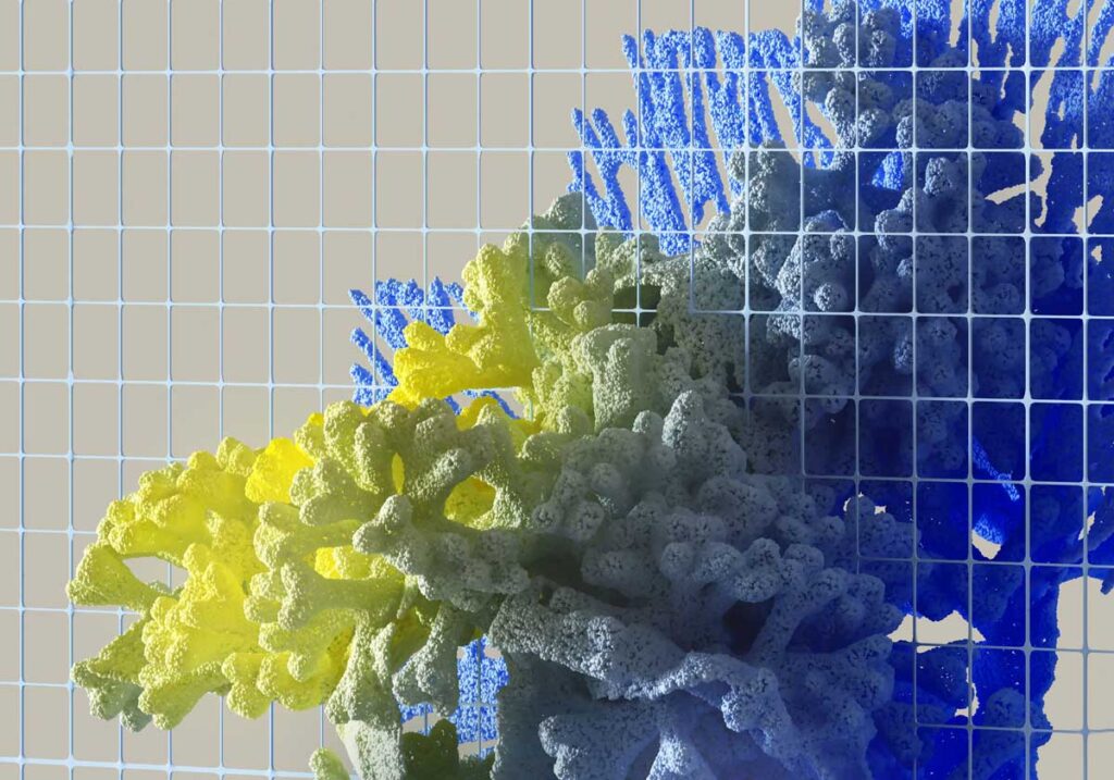 final_biomimitiki3
